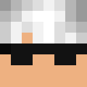 Player skin of Destiny2Guru