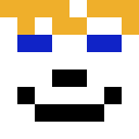 Player skin of Djayden0807