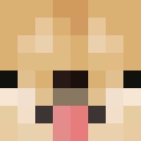 Player skin of Doge9243YT