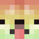 Player skin of Dogolandia