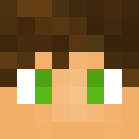 Player skin of DomDucci