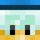 Player skin of Donald_The_Ducky