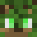 Player skin of DrTr33s