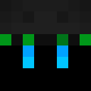 Player skin of DragonShop