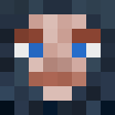 Player skin of EinOrangUtan