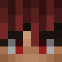 Player skin of Elb1to