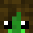 Player skin of ElenoraOmzo