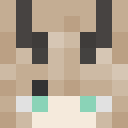 Player skin of Elon