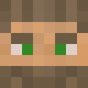 Player skin of Elviis