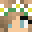 Player skin of Erica857