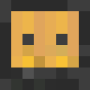 Player skin of ErneWorb
