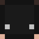 Player skin of Exvo_