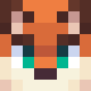 Player skin of Fall3nPh0eniX