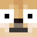Player skin of FamousWiseTiger