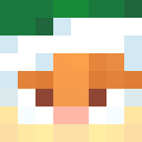 Player skin of Fluxxisme