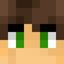 Player skin of FlyAsGermanWings