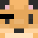 Player skin of FoxGNN