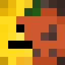 Player skin of FoxGamer