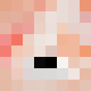 Player skin of Foxibox