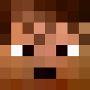 Player skin of FredTheTimeLord