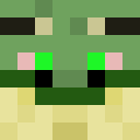 Player skin of FroggyDaFr0g