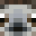 Player skin of FuriousPaladin