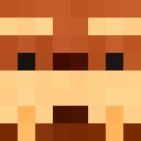 Player skin of GelmuteJ