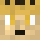 Player skin of Goldfight