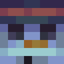 Player skin of HJX