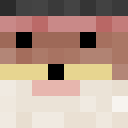 Player skin of HYMN1