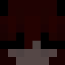Player skin of Hawk2035