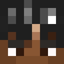 Player skin of Healtic