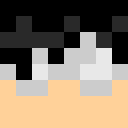 Player skin of HeresyHammer