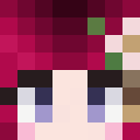 Player skin of Hero56