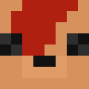 Player skin of HiImMett