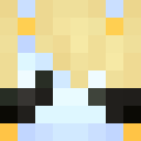 Player skin of Honkkai