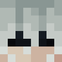 Player skin of HvhJoer