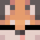 Player skin of IMAPOTAAAATOOO