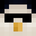 Player skin of IXpig
