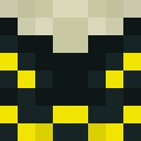 Player skin of IanNic586