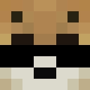 Player skin of IceHawk