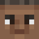 Player skin of InfinityToast25