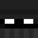 Player skin of InsectParty5578