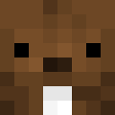 Player skin of JeSuisRobin