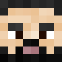 Player skin of Joanmiquel05