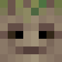 Player skin of JustaGroot