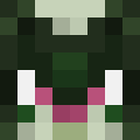 Player skin of KYKY5435