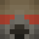 Player skin of KingOfRedBears