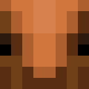 Player skin of KitAmarillo2010