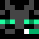 Player skin of Koopa70